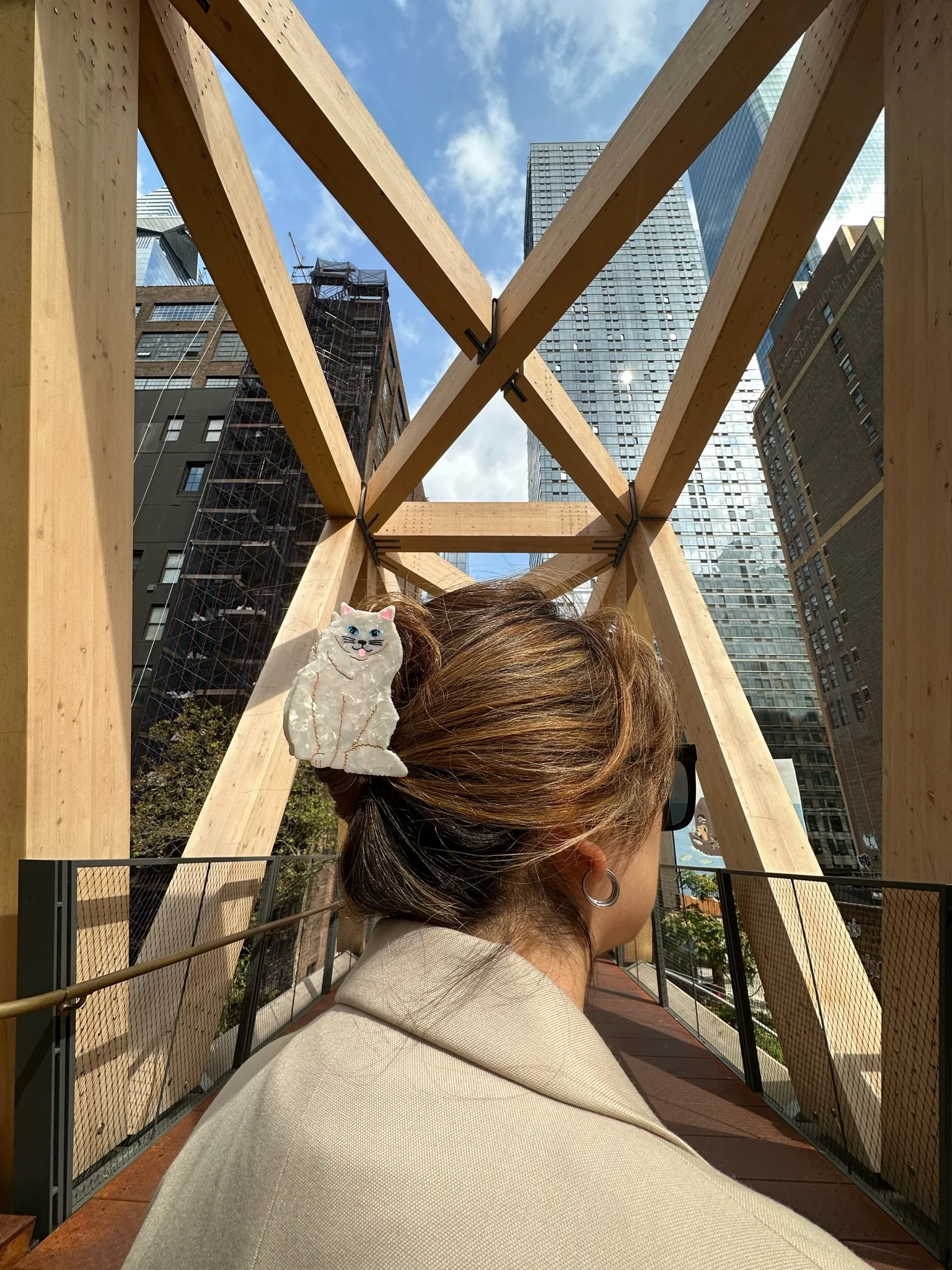 Hand-painted Persian Cat Claw Hair Clip | Eco-Friendly - Image 3